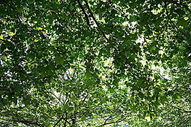 《赛博朋克2077》V2.01版即将上线 修复性能问题等