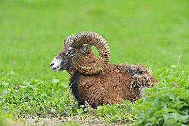 玩家将《超级马里奥64》魔改成一款恐怖游戏