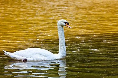 雅达利收购经典街机游戏《机械人战争》IP