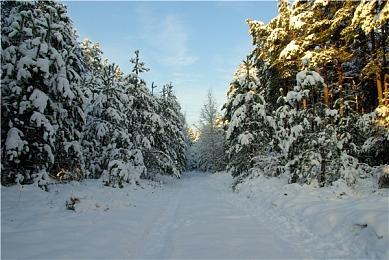 《侠之信条》公布最新实机宣传片 支持简体中文