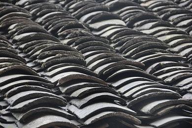 《驱灵者：新伊甸的幽灵》女主技能演示视频